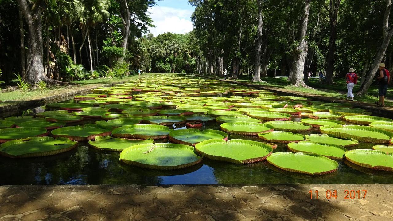 Villa Alexis - Location De Vacances A Trou Aux Biches Bagian luar foto